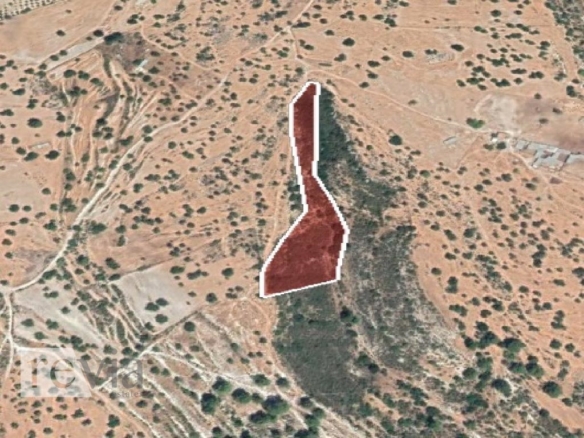 336140 – Land Field For sale, Pachna, 12.375 sq.m., €11.000