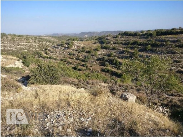 336070 – Land Field For sale, Agios Therapon, 6.355 sq.m., €3.500