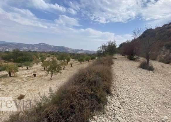 335214 – Land Field For sale, Limnatis, 8.880 sq.m., €65.000