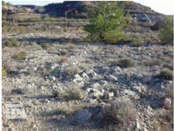 336076 – Land Field For sale, Agios Therapon, 7.693 sq.m., €12.000