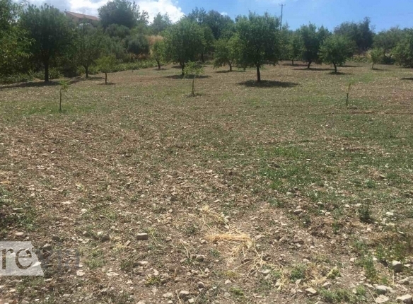 335213 – Land Field For sale, Limnatis, 3.517 sq.m., €240.000