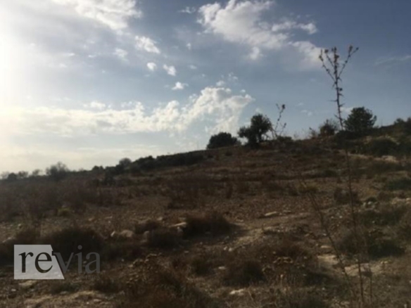 336205 – Land Field For sale, Pachna, 1.283 sq.m., €25.000