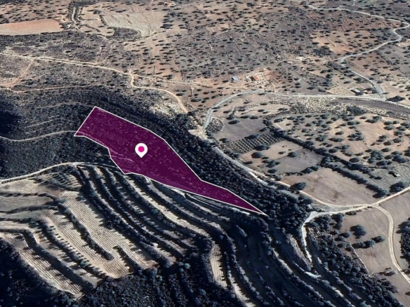 Field, Anogyra, Limassol – id S40054