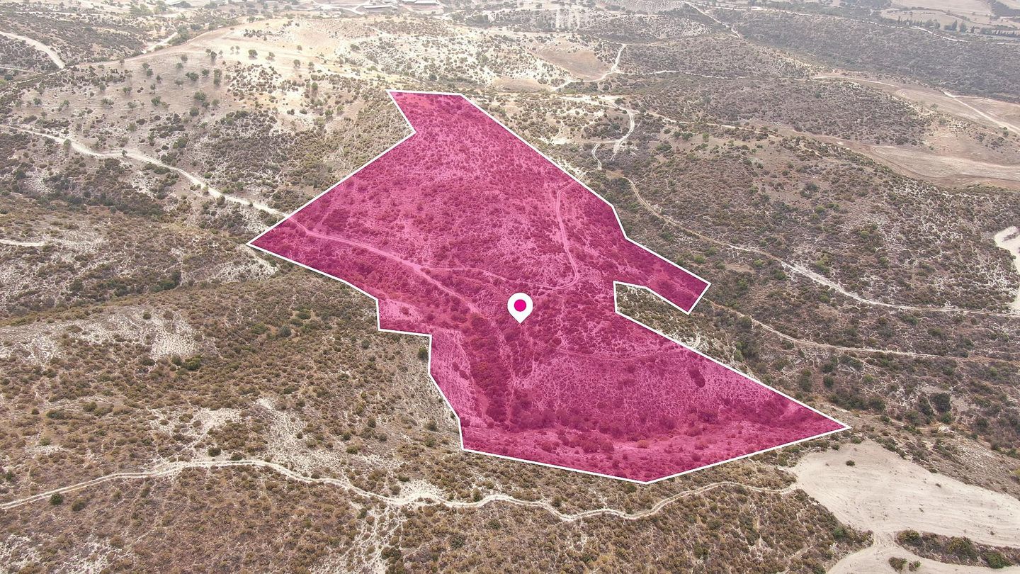 Agriculture Field in Skarinou, Larnaca – id S44258