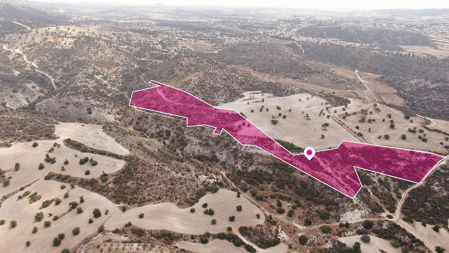 Agricultural Field in Skarinou, Larnaca – id S44257