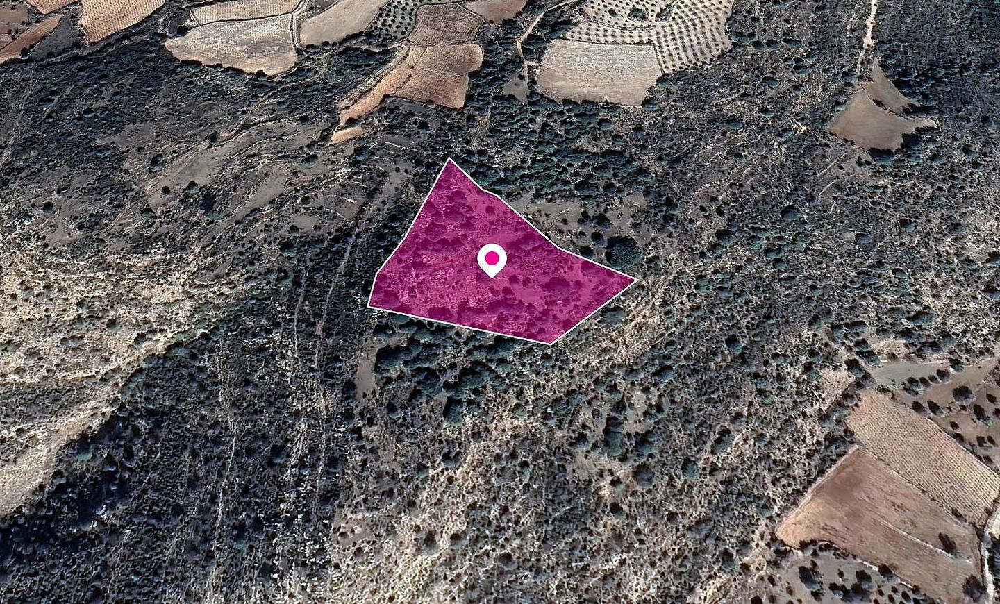 Field in Dora, Limassol – id S8079
