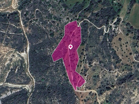 (Share) Agricultural Field in Agios Isidoros, Paphos – id S43453
