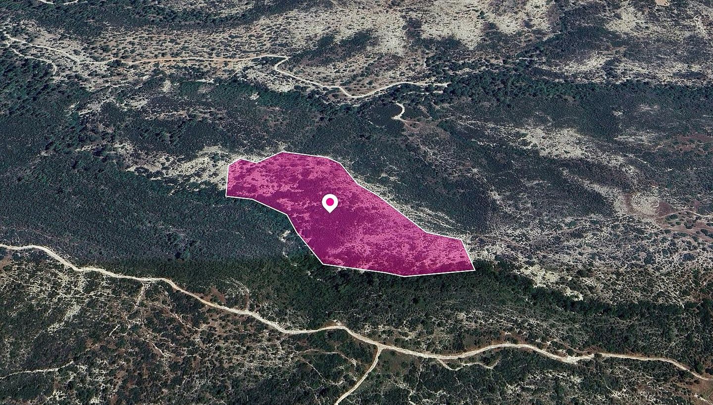Agricultural Field in Platanisteia, Limassol – id S43310