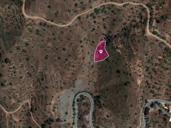 Residential field, Gourri – id S30022