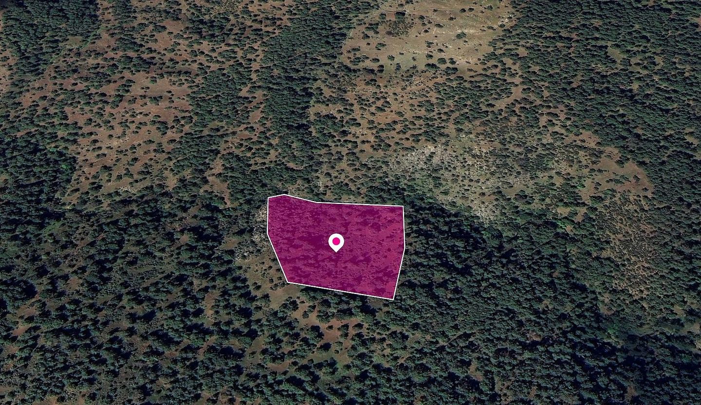 Agricultural Field in Pigenia, Nicosia – id S43450