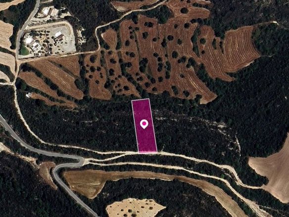 Field in Kritou Tera, Paphos – id S44196