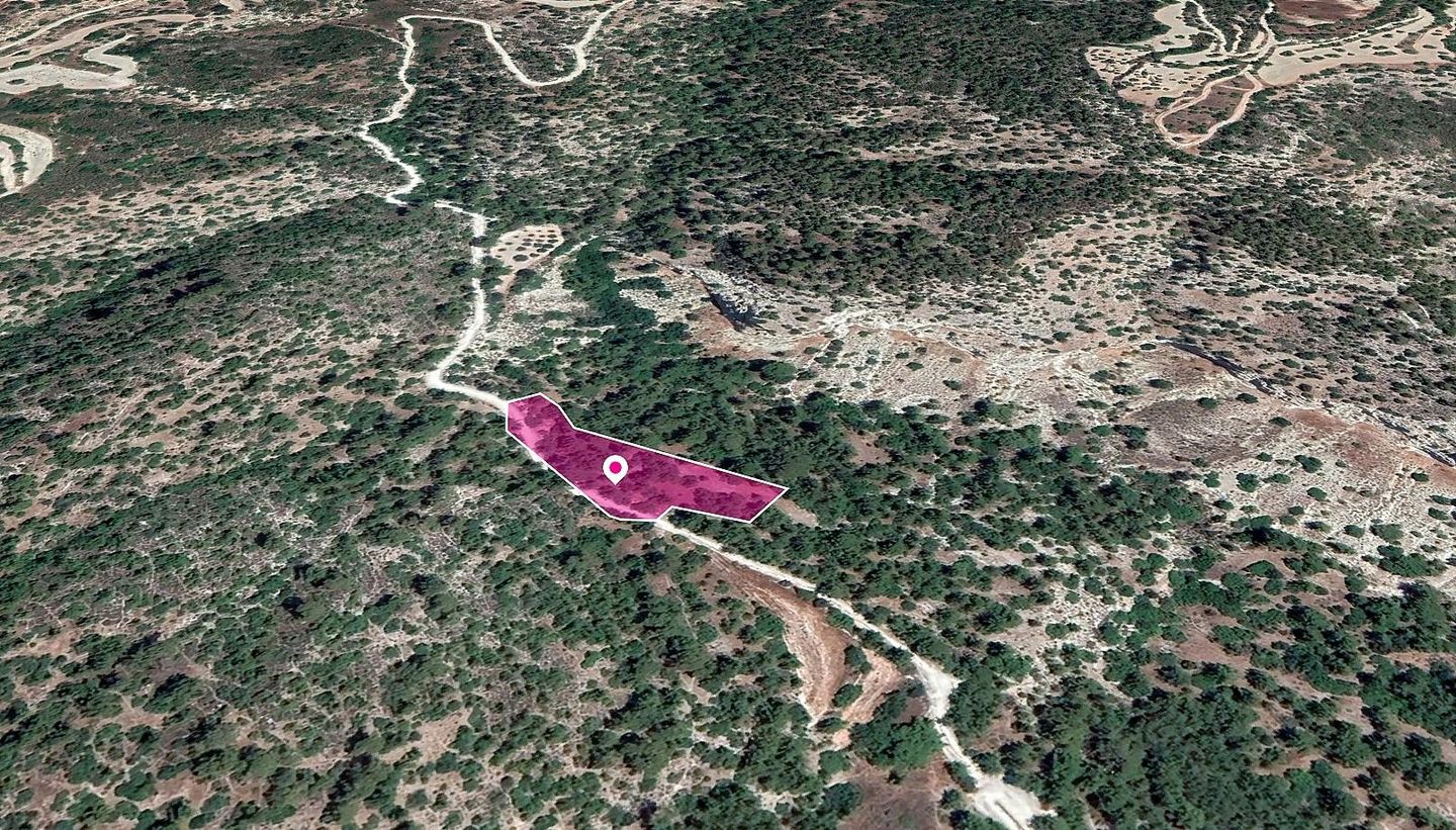 Field in Amargeti, Paphos – id S40035