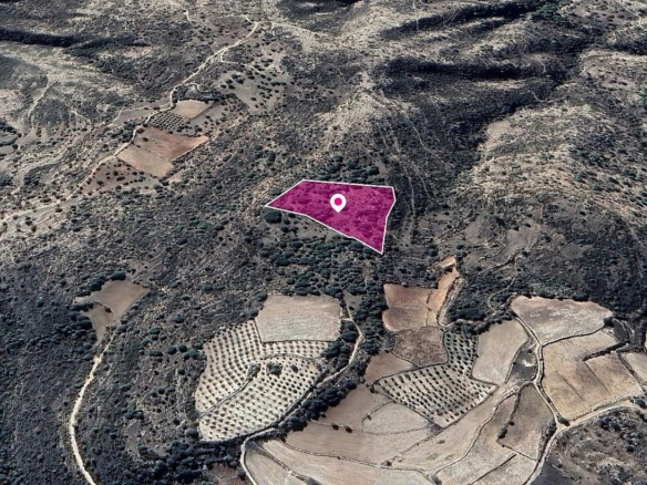 Field in Dora, Limassol – id S8079