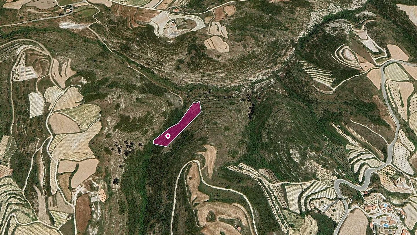 Field in Kathikas, Paphos – id S40142