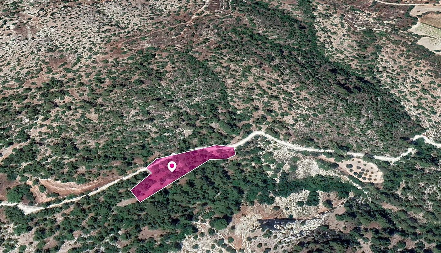 Field in Amargeti, Paphos – id S40035