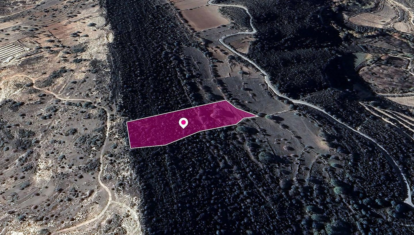 Agricultural Field in Pachna, Limassol – id S43311