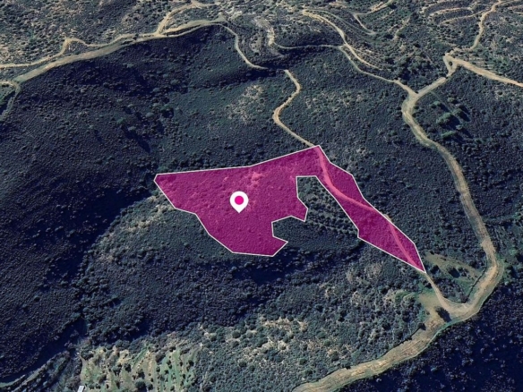 Field in Lageia, Larnaca – id S44123