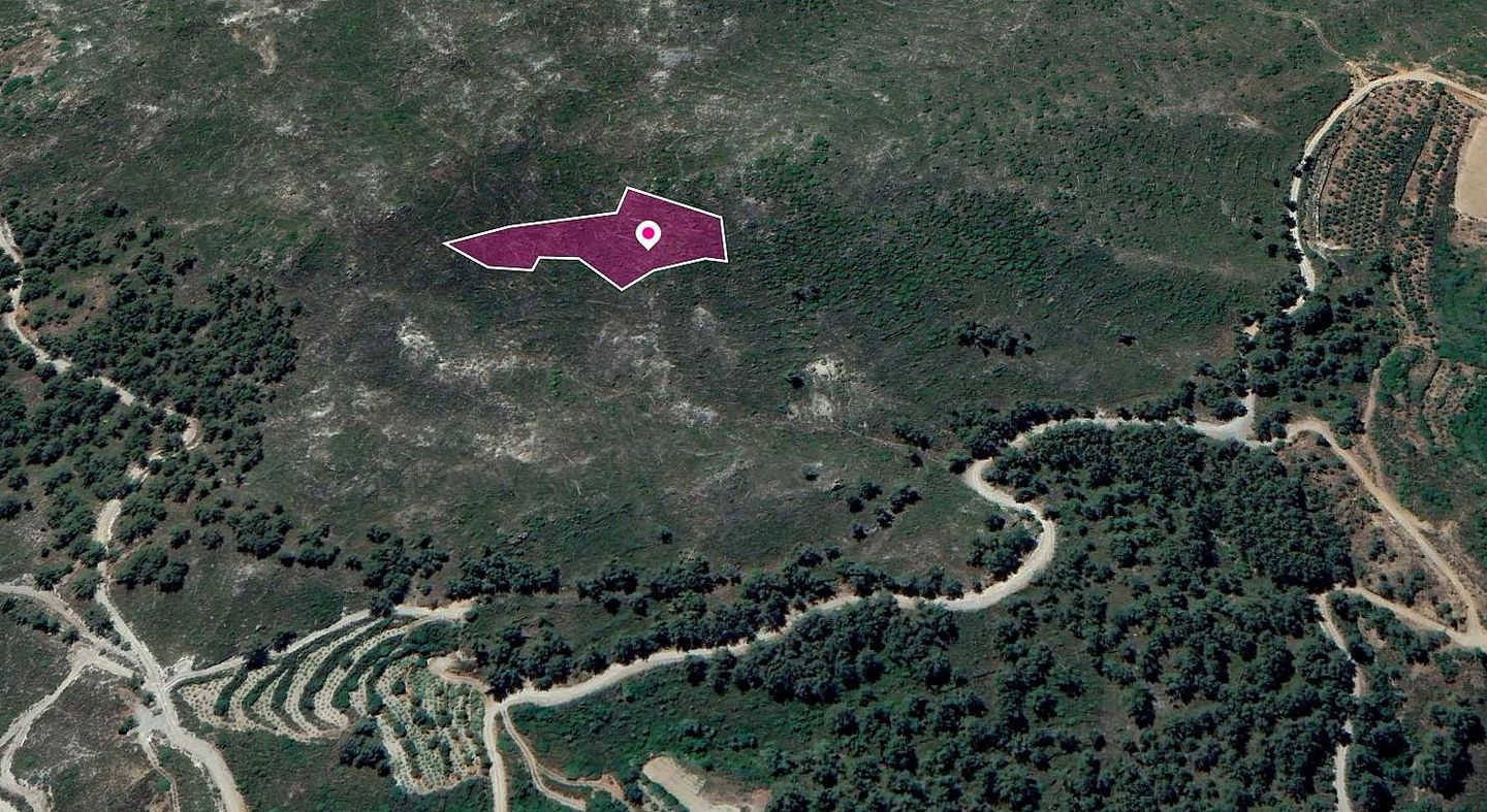 Field in Pelendri, Limassol – id S20843