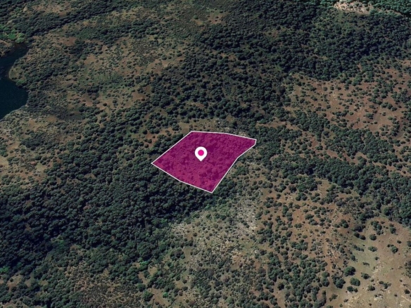 Agricultural Field in Pigenia, Nicosia – id S43450