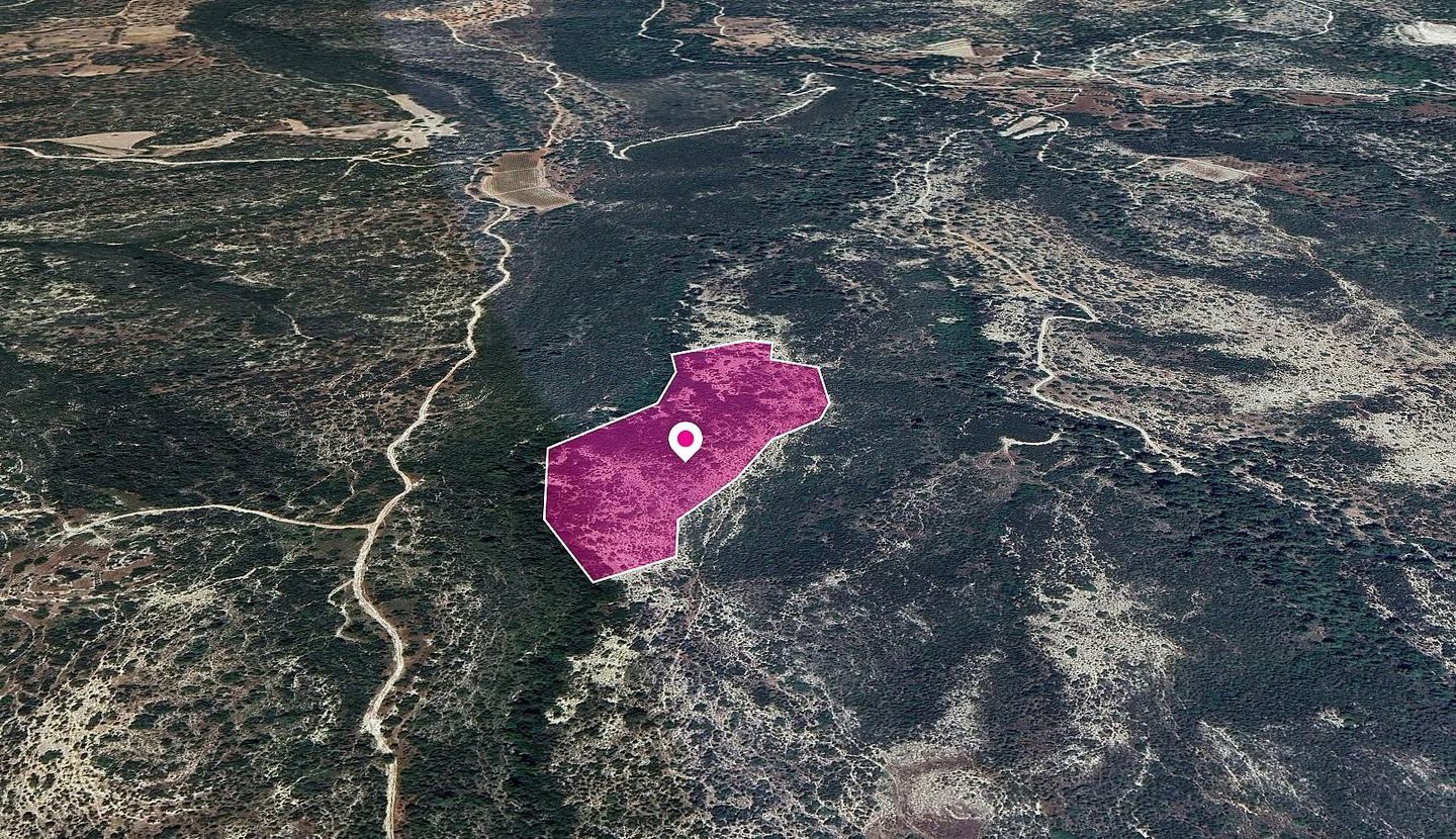 Agricultural Field in Platanisteia, Limassol – id S43310