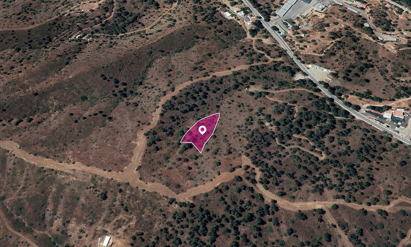 Field in Evrychou, Nicosia – id S40146