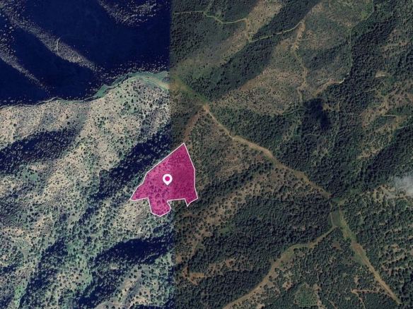 (Share) Field in Pomos, Paphos – id S44047