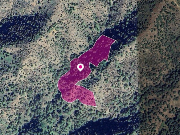 (Share) Field in Pomos, Paphos – id S44040