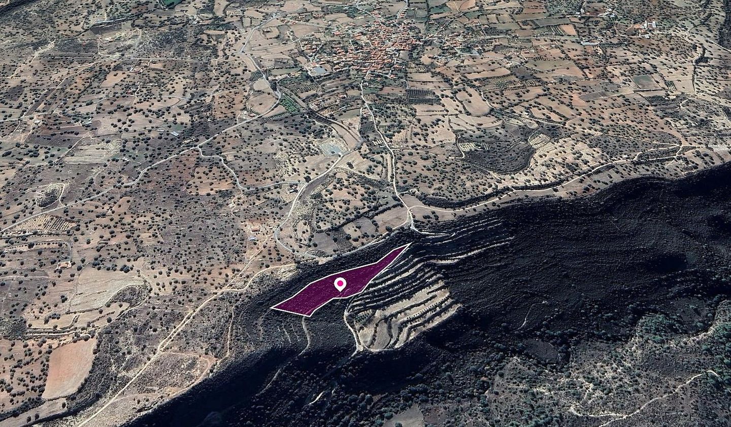 Field, Anogyra, Limassol – id S40054