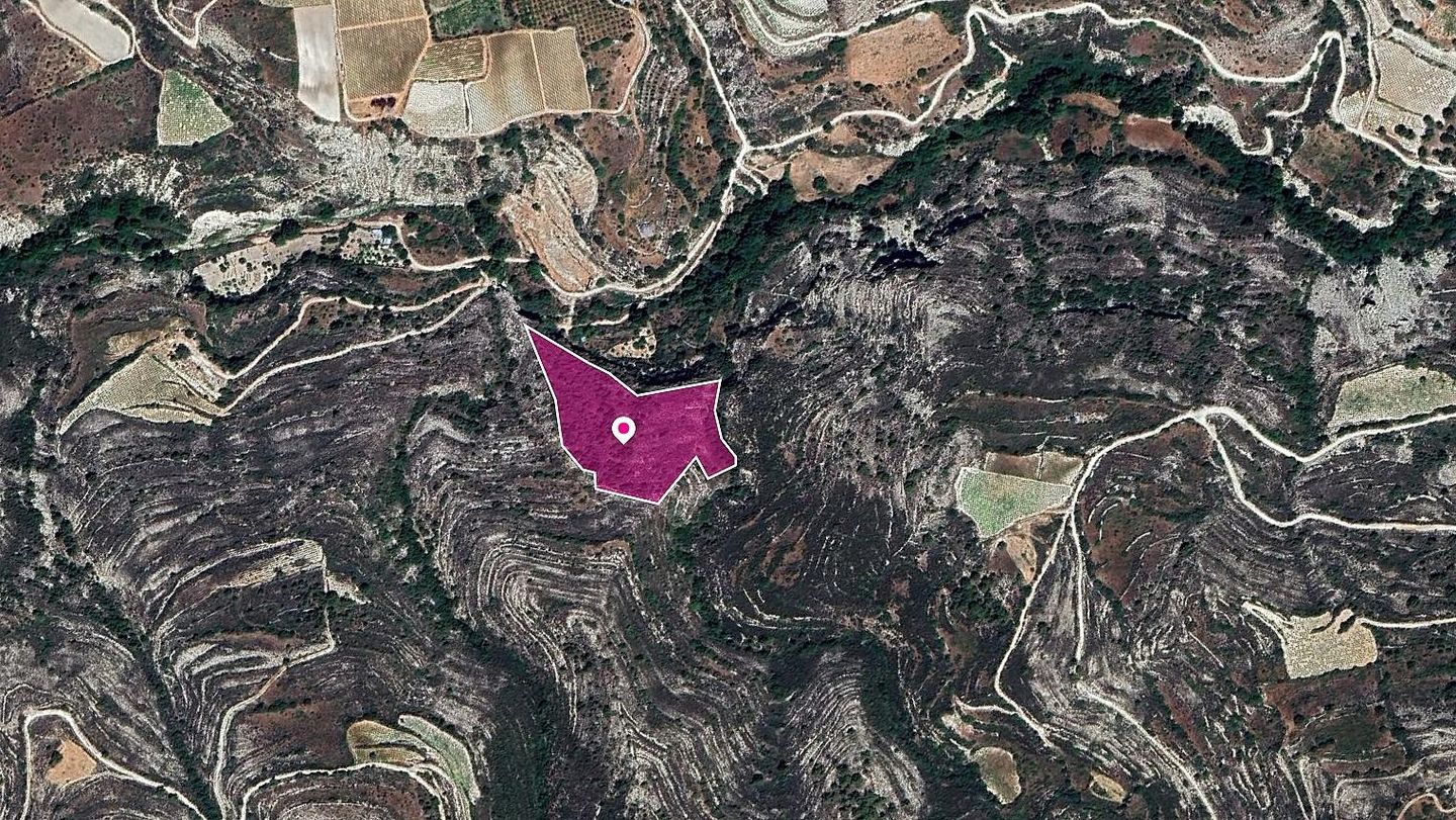 Field, Koilani, Limassol – id S20341