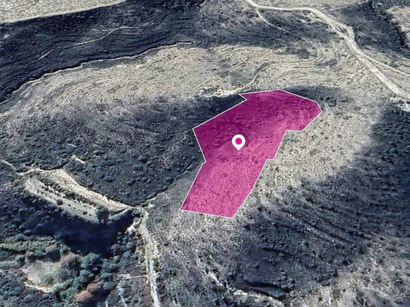 Field in Kato Drys, Larnaca – id S20547