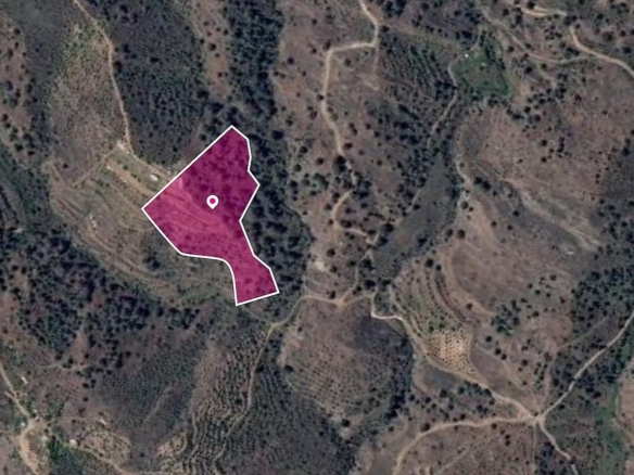 Agricultural field, Platanistasa – id S20191