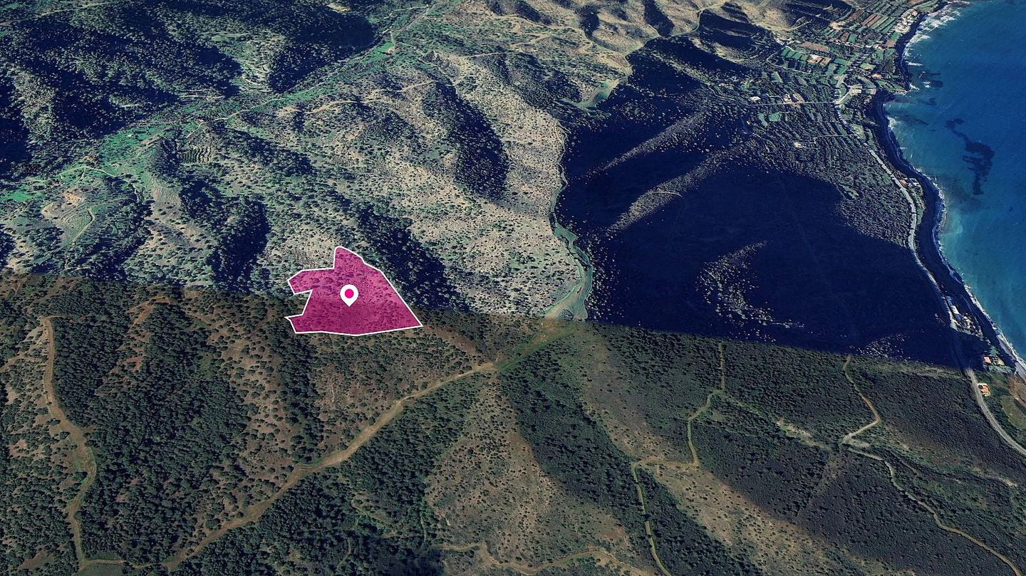 (Share) Field in Pomos, Paphos – id S44047