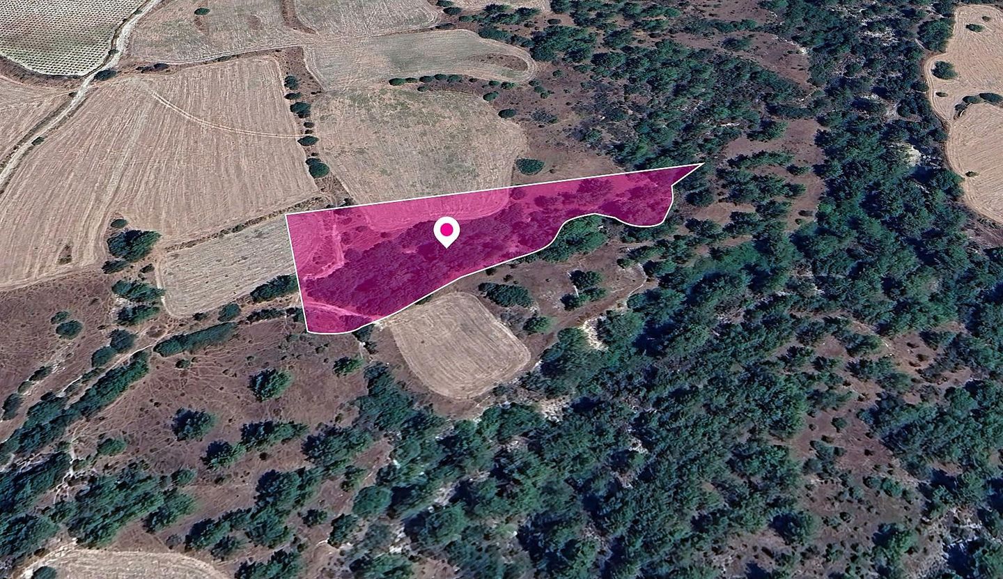 Field, Mousere, Paphos – id S43850
