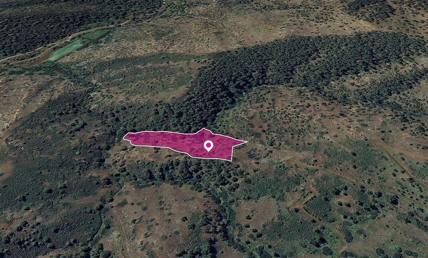 Agricultural Field in Pigenia, Nicosia – id S43859