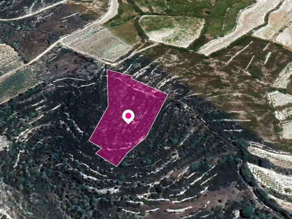 Agricultural Field, Koilani, Limassol – id S20342