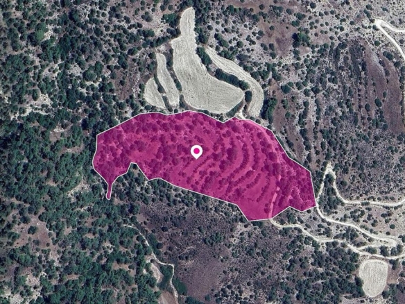 Agricultural Field in Amargeti, Paphos – id S43848