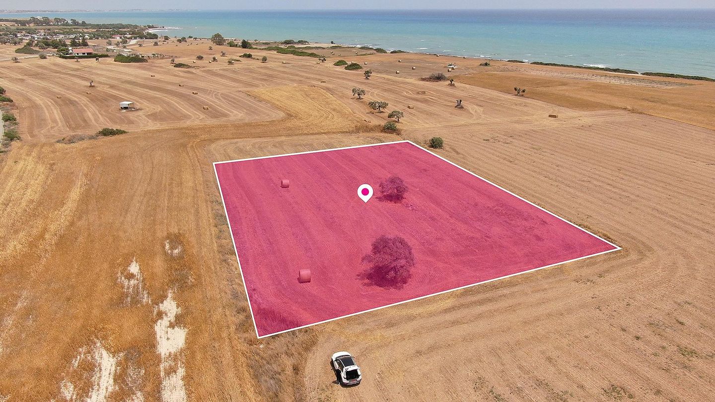 Touristic Field in Mazotos, Larnaca – id S2023