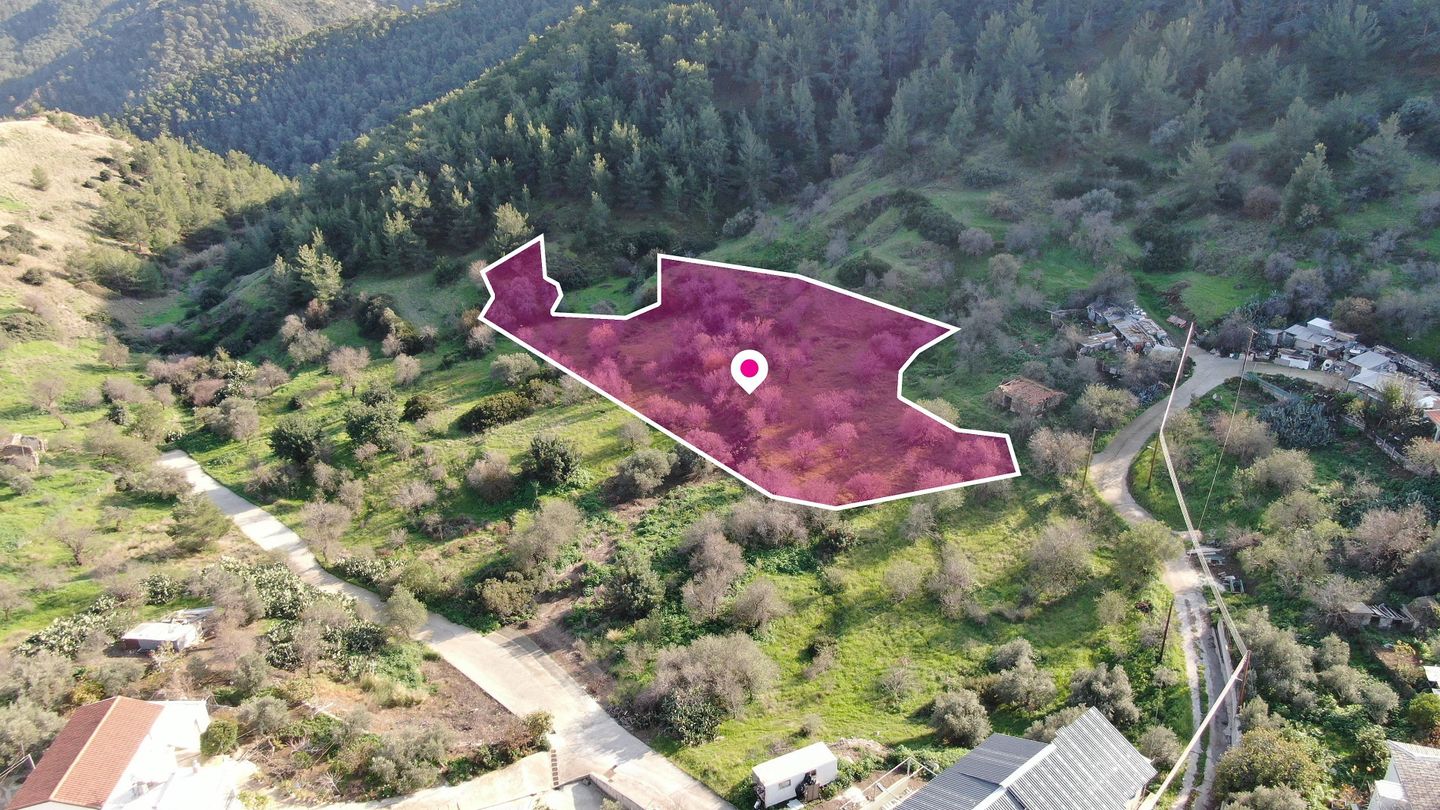 Residential field located in Pigenia, Nicosia – id S42182