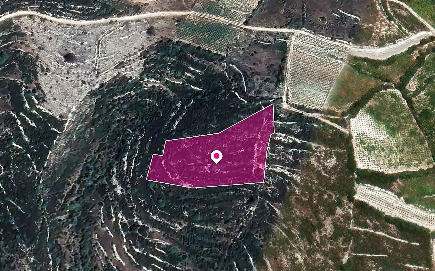 Agricultural Field, Koilani, Limassol – id S20342