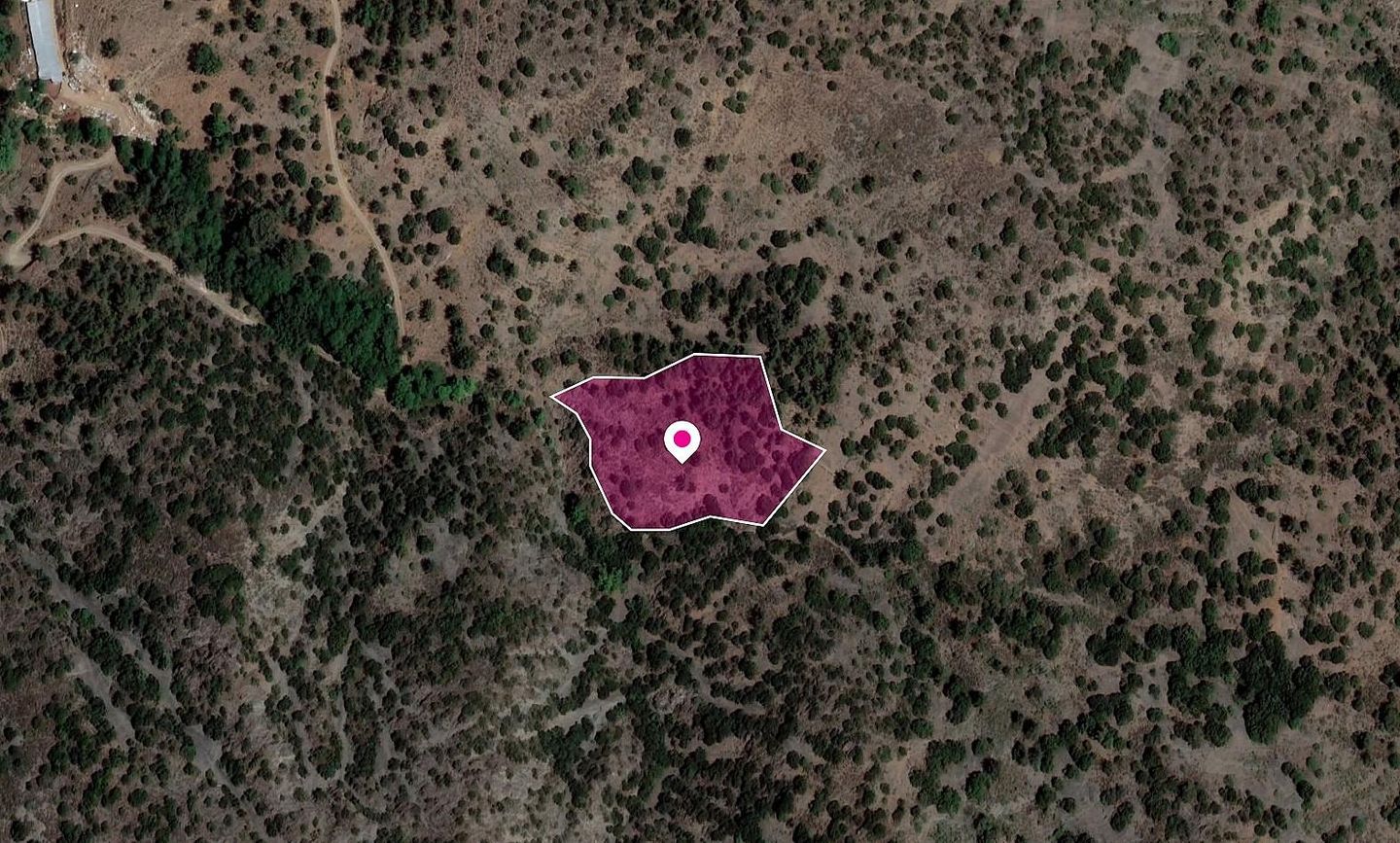Field, Agios Theodoros, Limassol – id S8796