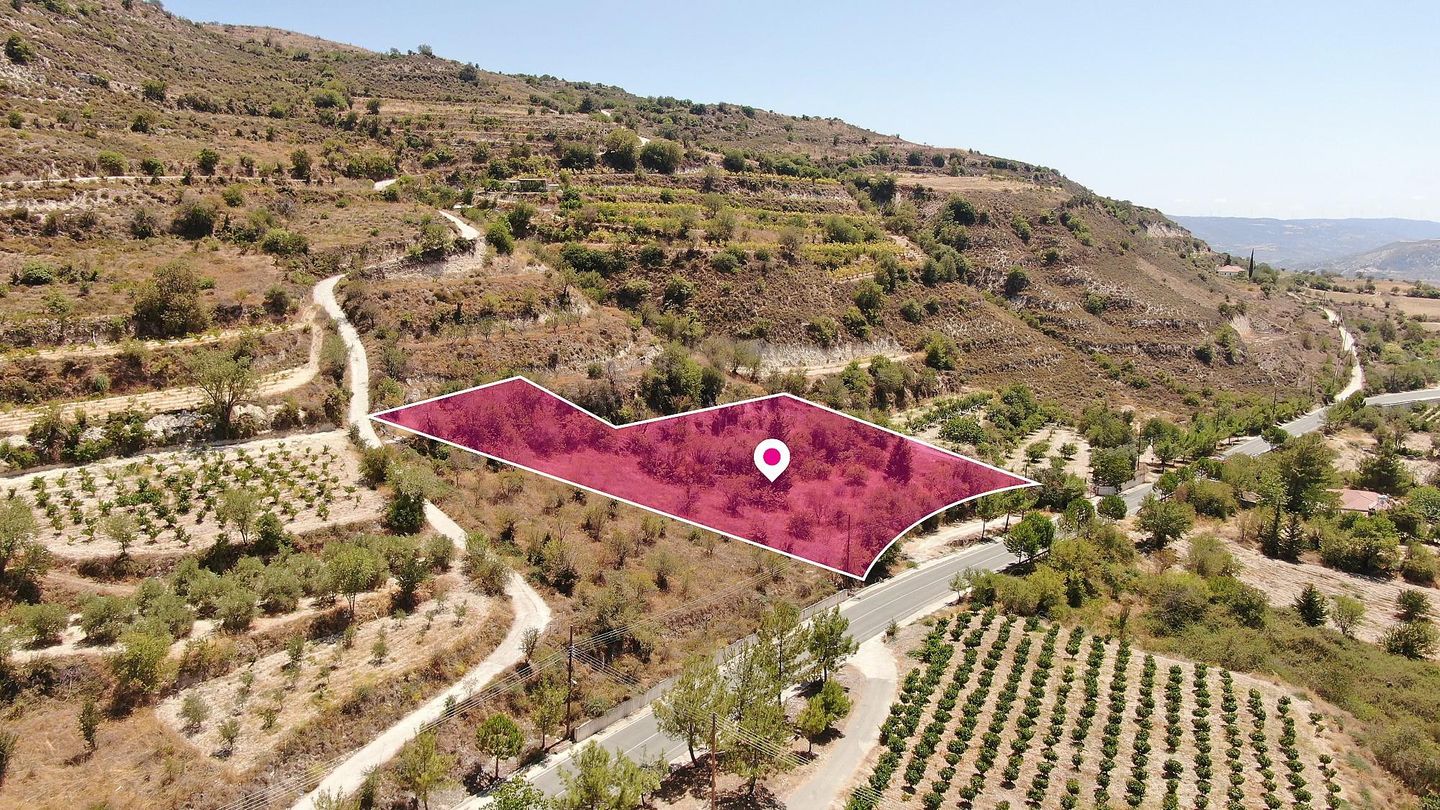 Residential Field in Praitori, Paphos – id S9009
