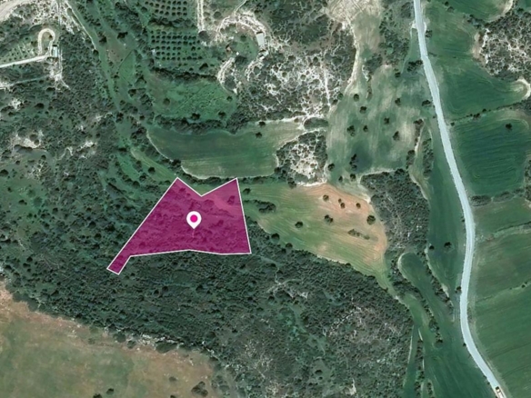 Agricultural field in Agios Theodoros, Larnaca – id S43852