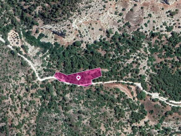Field in Amargeti, Paphos – id S40035