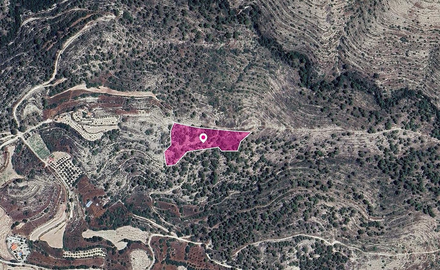 (Share) Agricultural Field in Agios Therapon, Limassol – id S43935