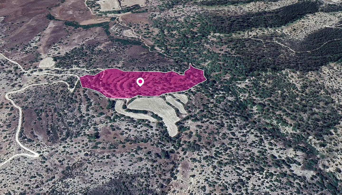 Agricultural Field in Amargeti, Paphos – id S43848