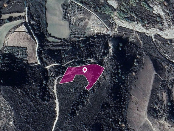 Field, Dora, Limassol – id S987