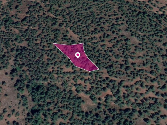 Field in Theodoro Soleas, Nicosia – id S8447