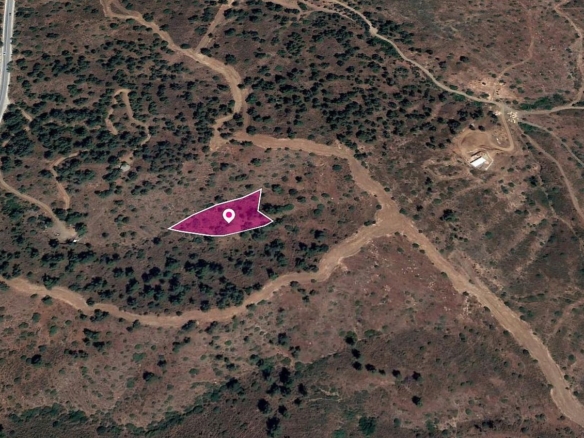 Field in Evrychou, Nicosia – id S40146