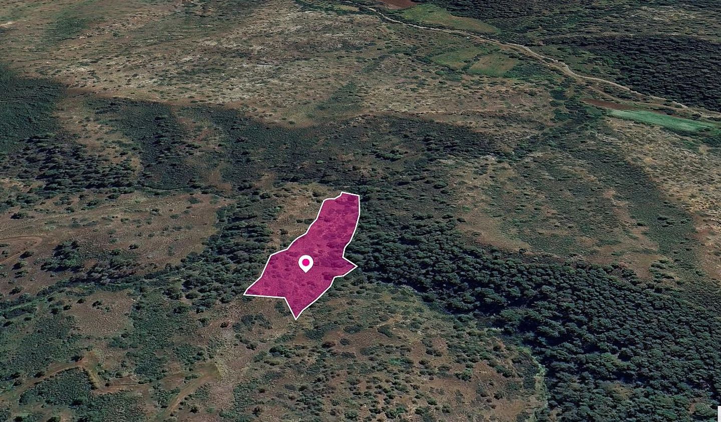 Agricultural Field in Pigenia, Nicosia – id S43859