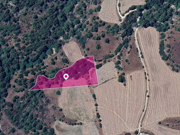 Field, Mousere, Paphos – id S43850